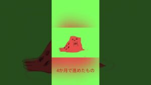 4か月で進めたもの #にゃんこ大戦争  #shouts