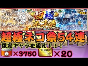 超極ネコ祭54連でまさかの結果が…限定キャラは出てくれるのでしょうか？【にゃんこ大戦争】