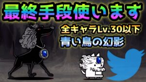 青い鳥の幻影   最終手段使います　全キャラLv.30以下で攻略　にゃんこ大戦争