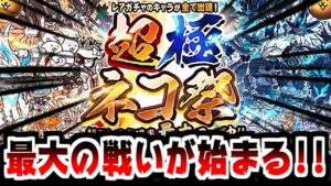 【にゃんこ大戦争】超極ネコ祭に伝説レア「イザナミ」参戦！今年最大の戦いが遂に始まってしまう！！【本垢実況Re#1878】