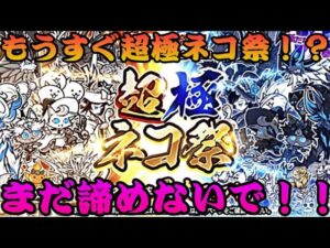 もう少しで超極ネコ祭！！レアチケを貯めていますか？【にゃんこ大戦争】