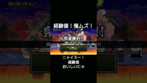 経験値！極ムズ！にゃんこ大戦争！編成！