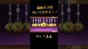 超極ネコ祭引いてみた！結果…？#にゃんこ#にゃんこ大戦争#10連