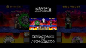 私はモンキーDテサランの彼女です#にゃんこ大戦争 #にゃんこ大戦争ネタ