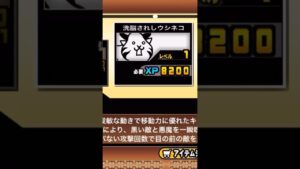 【にゃんこ大戦争】洗脳されしウシネコ→第二形態進化！洗脳されしネコキリン　#にゃんこ大戦争  #洗脳されしウシネコ　#第二形態進化